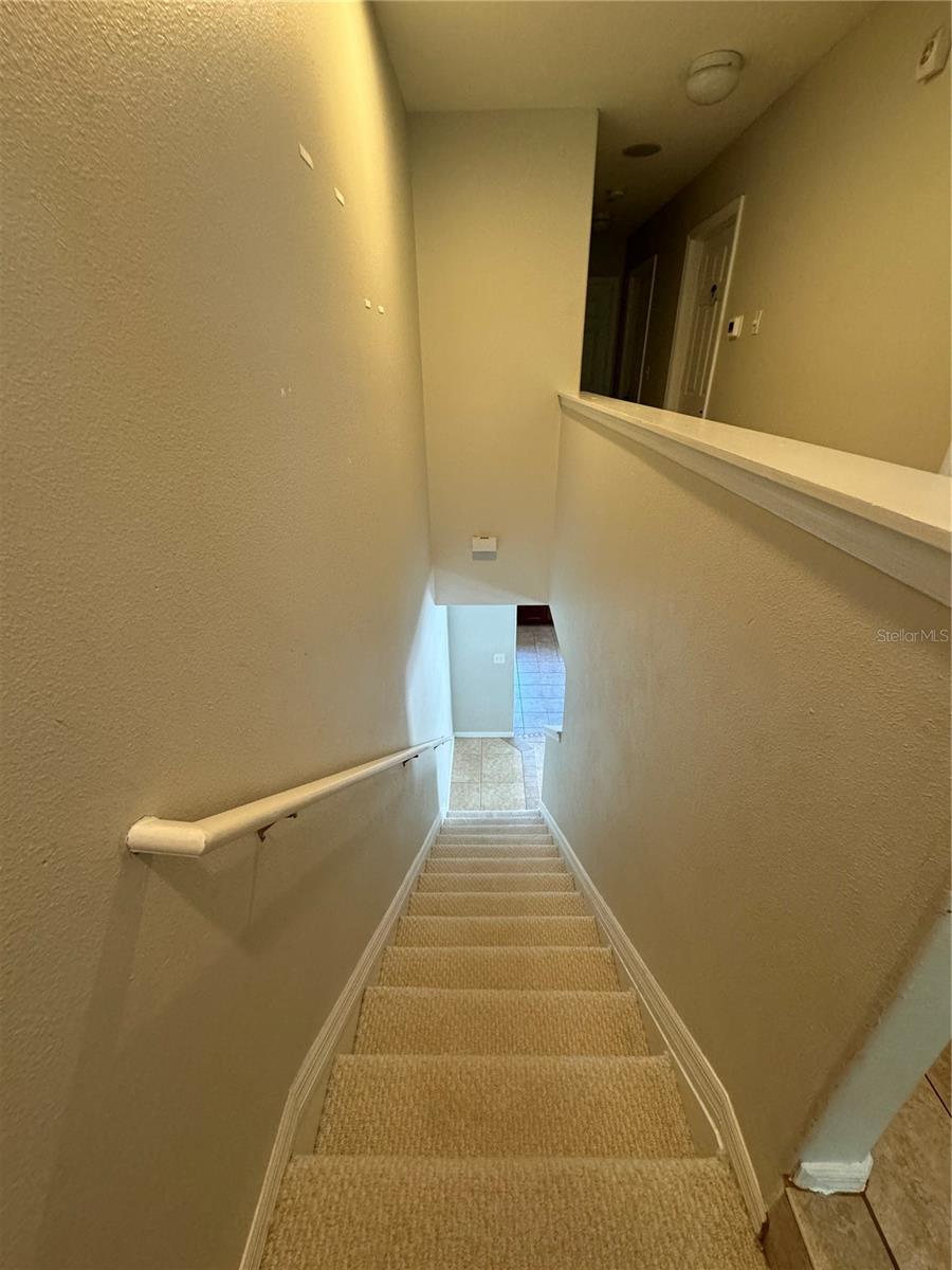 520 WHEATON TRENT PL, TAMPA, FL, 33619