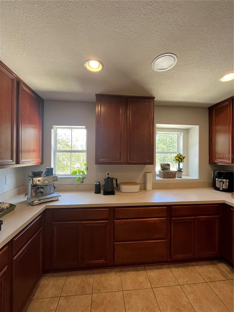 520 WHEATON TRENT PL, TAMPA, FL, 33619