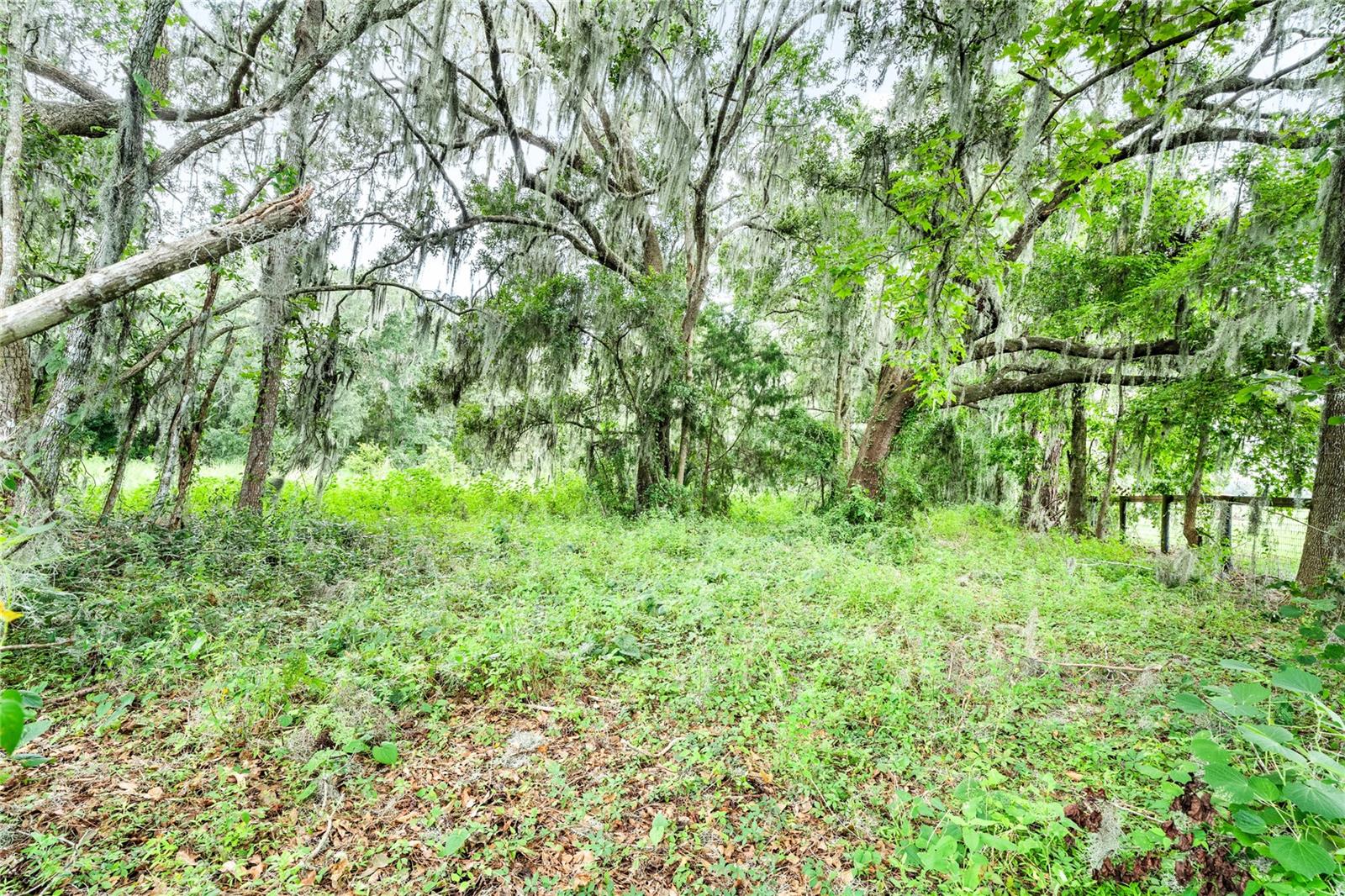 12255 N US HIGHWAY 27, OCALA, FL, 34482