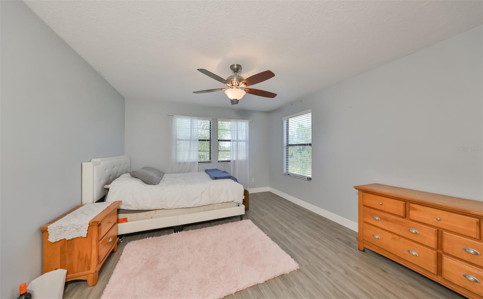 11650 PALMETTO PINE ST, RIVERVIEW, FL, 33569