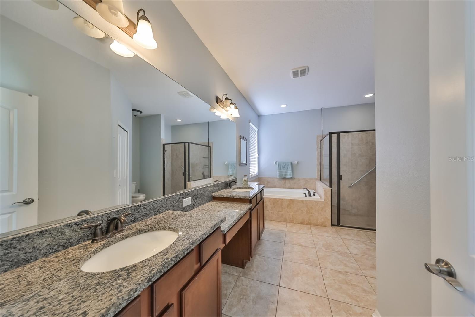11650 PALMETTO PINE ST, RIVERVIEW, FL, 33569