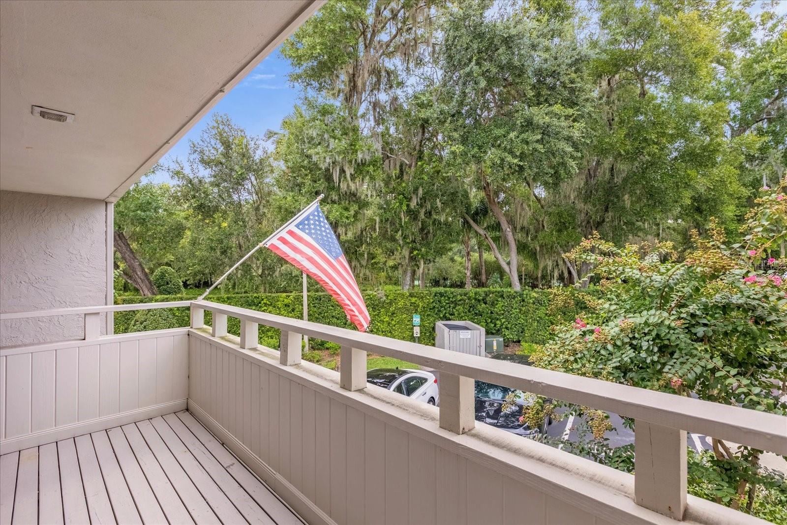 388 LAKEVIEW ST, ORLANDO, FL, 32804