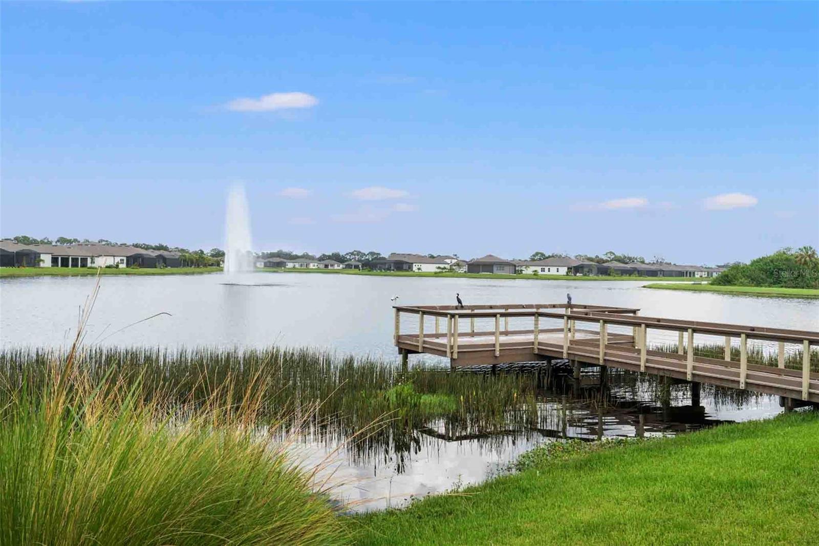 8514 COASTAL PALMS GLN, PARRISH, FL, 34219