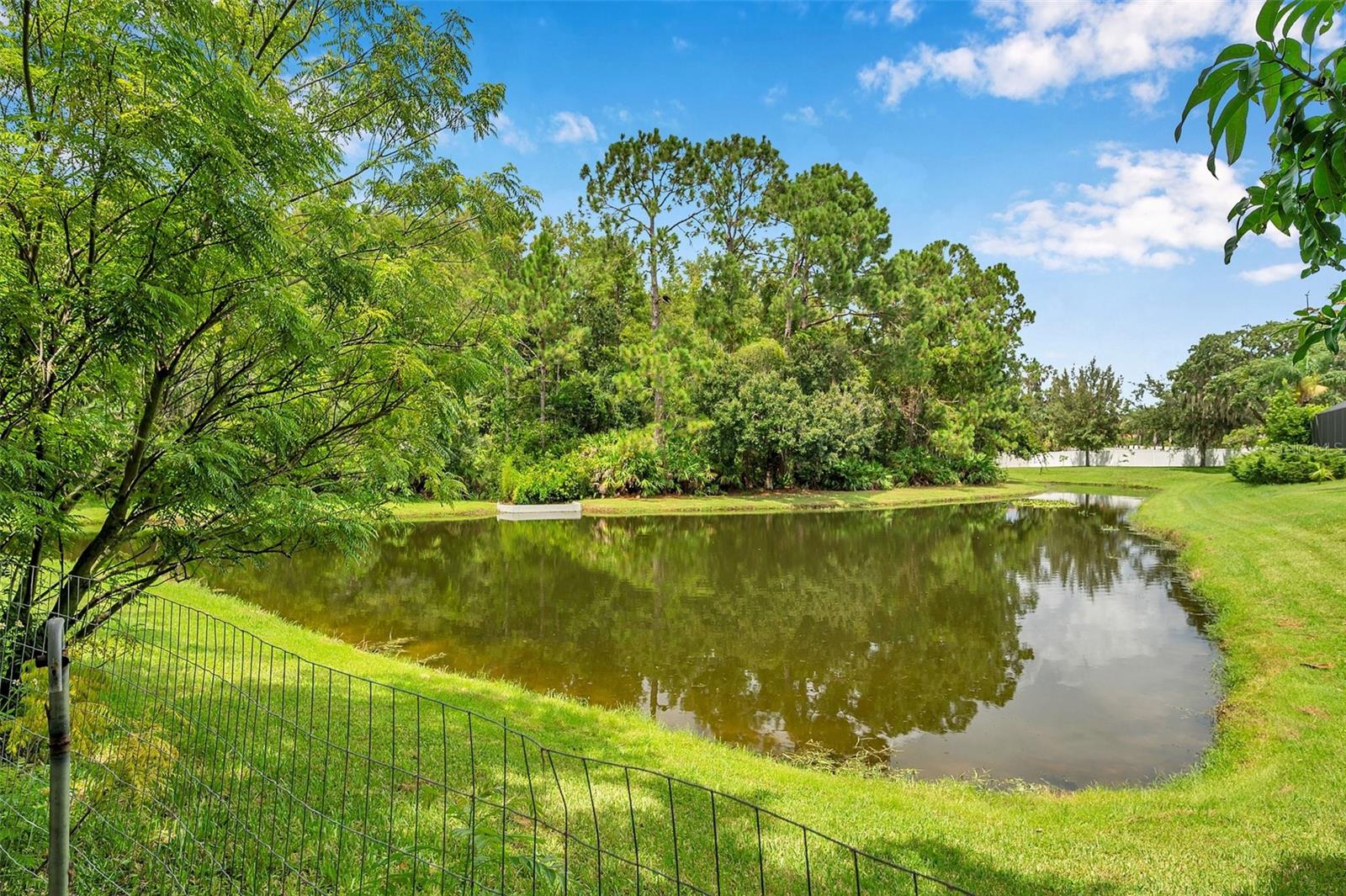 9124 TOPNECK ST, NEW PORT RICHEY, FL, 34654