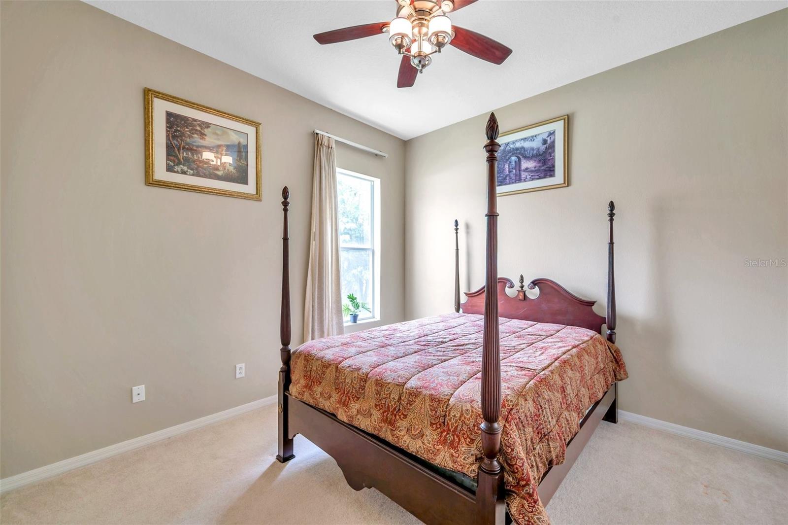 9124 TOPNECK ST, NEW PORT RICHEY, FL, 34654