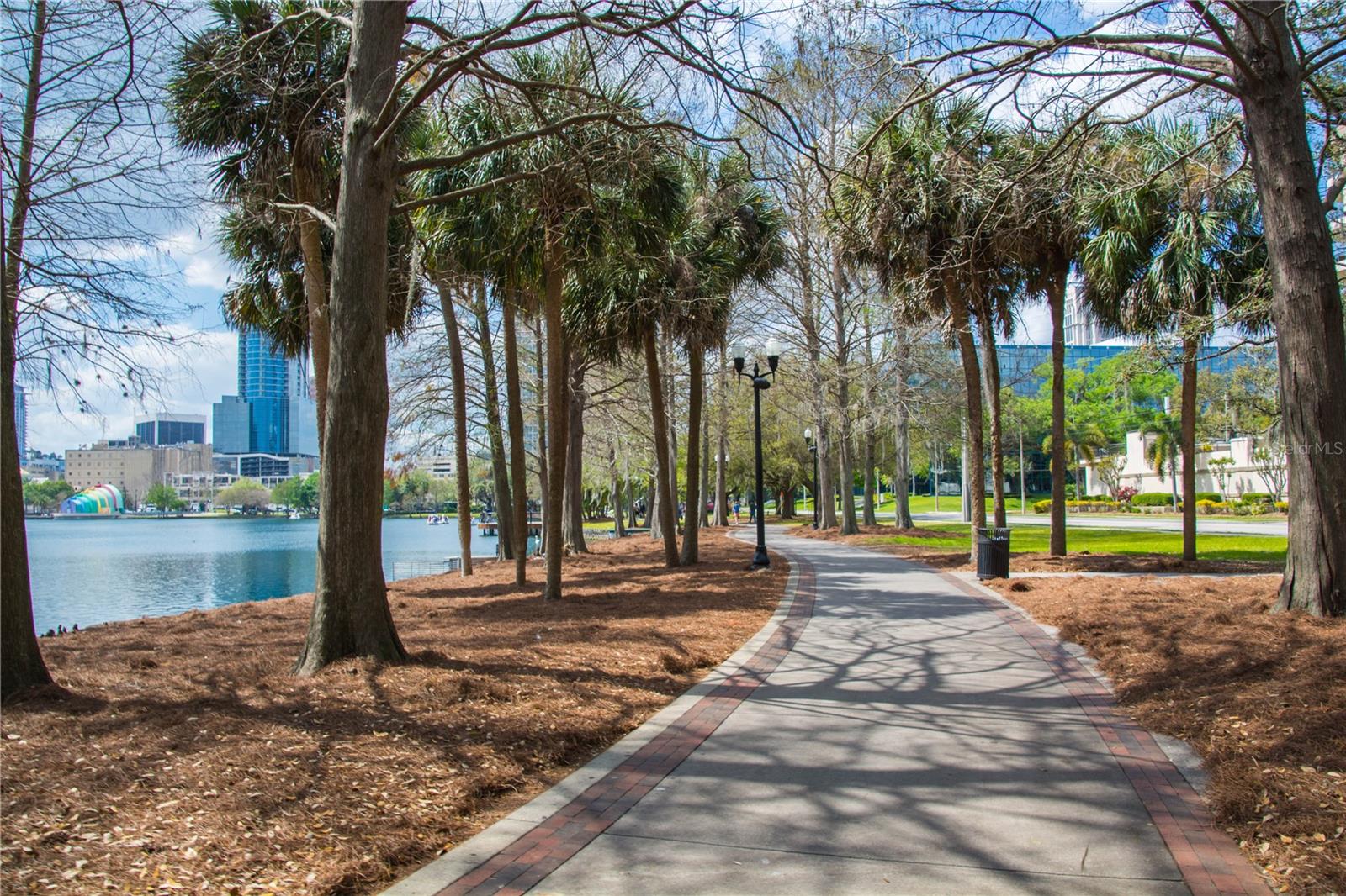 204 E SOUTH ST #5060, ORLANDO, FL, 32801