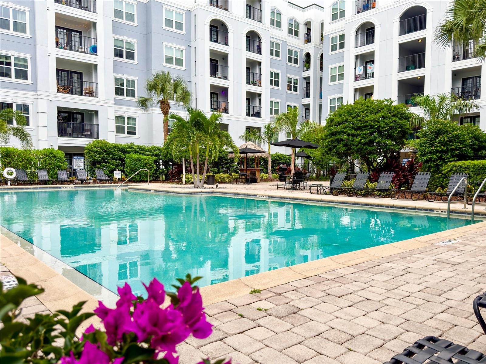 204 E SOUTH ST #5060, ORLANDO, FL, 32801