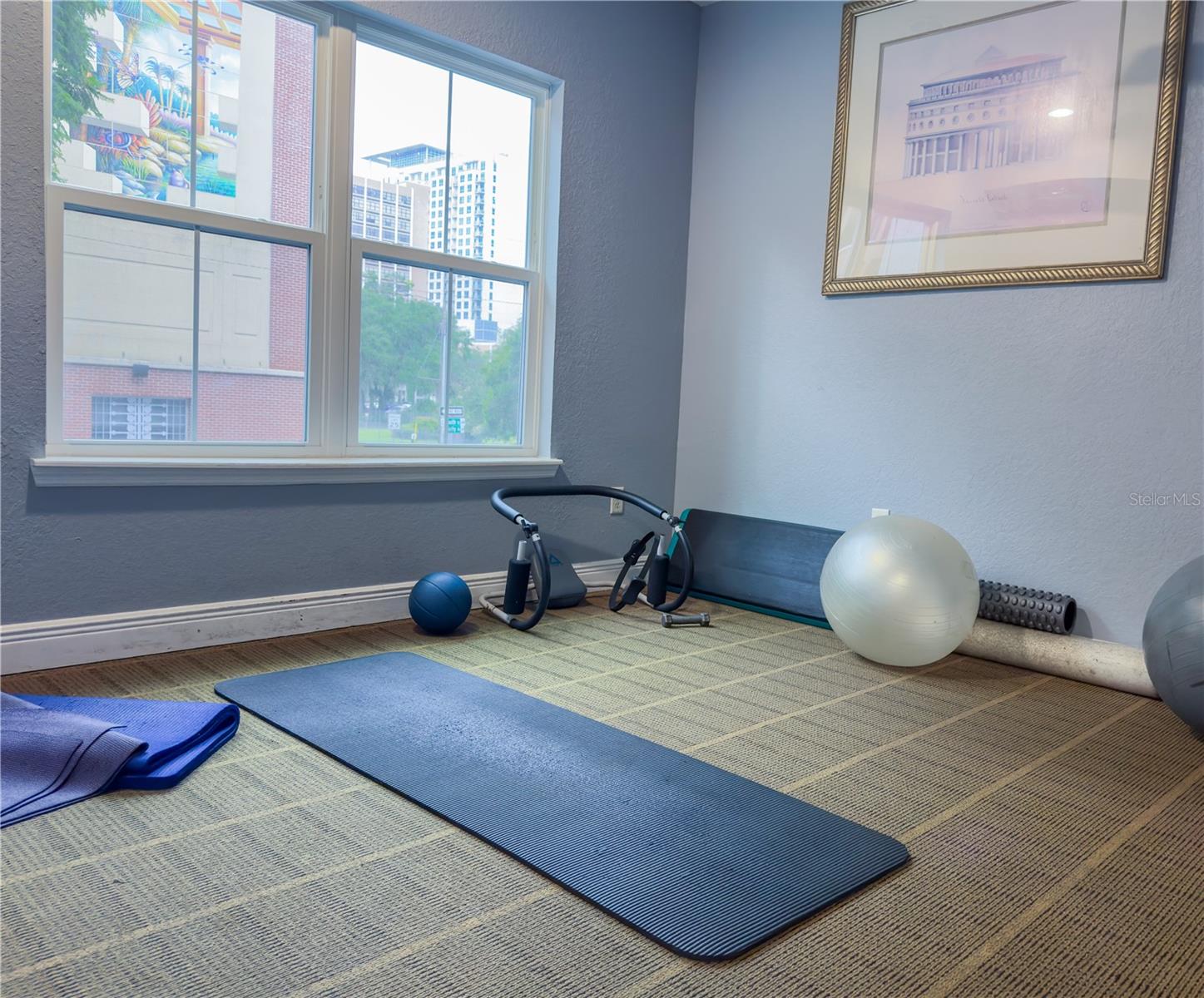 204 E SOUTH ST #5060, ORLANDO, FL, 32801