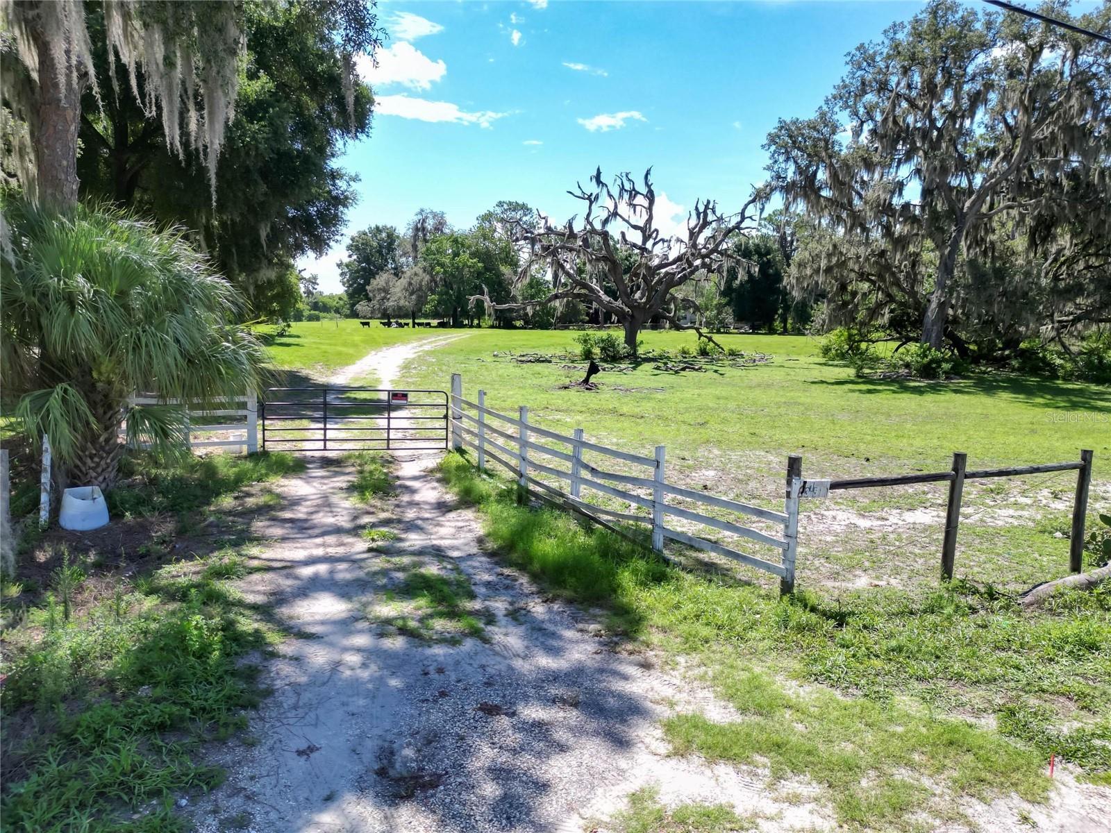 8315 TOM COSTINE RD, LAKELAND, FL, 33809