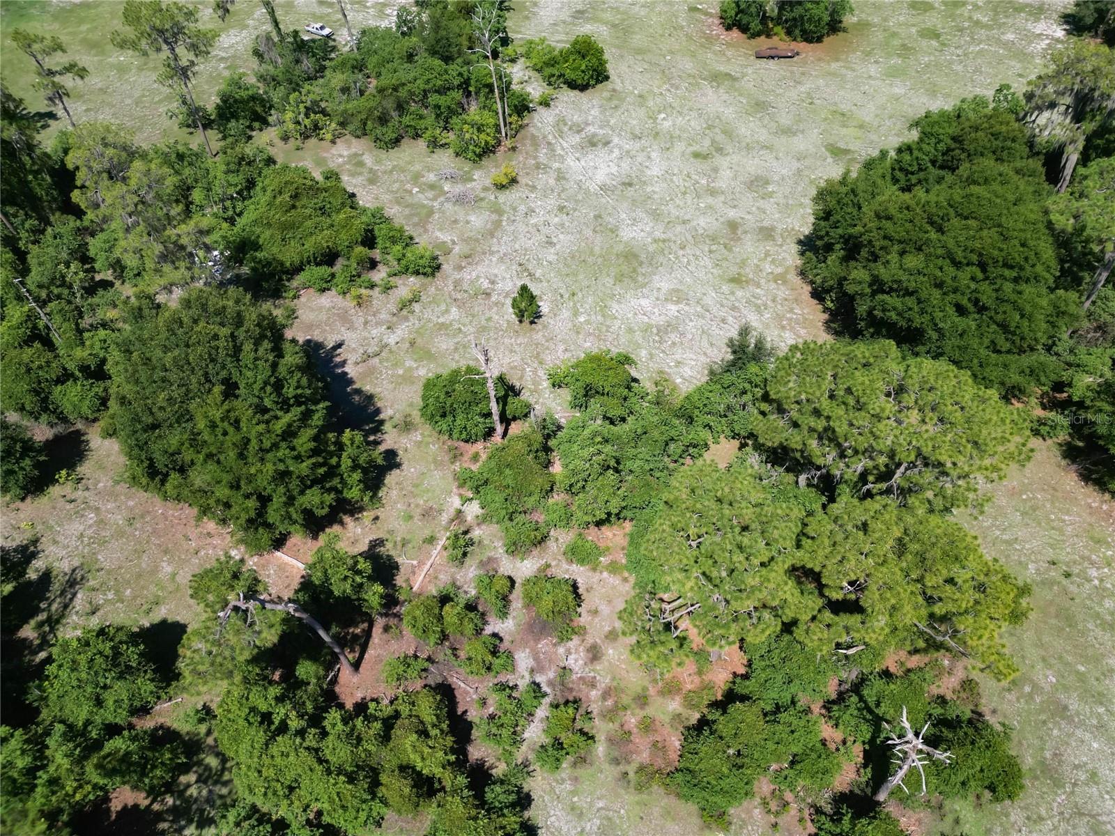 8315 TOM COSTINE RD, LAKELAND, FL, 33809