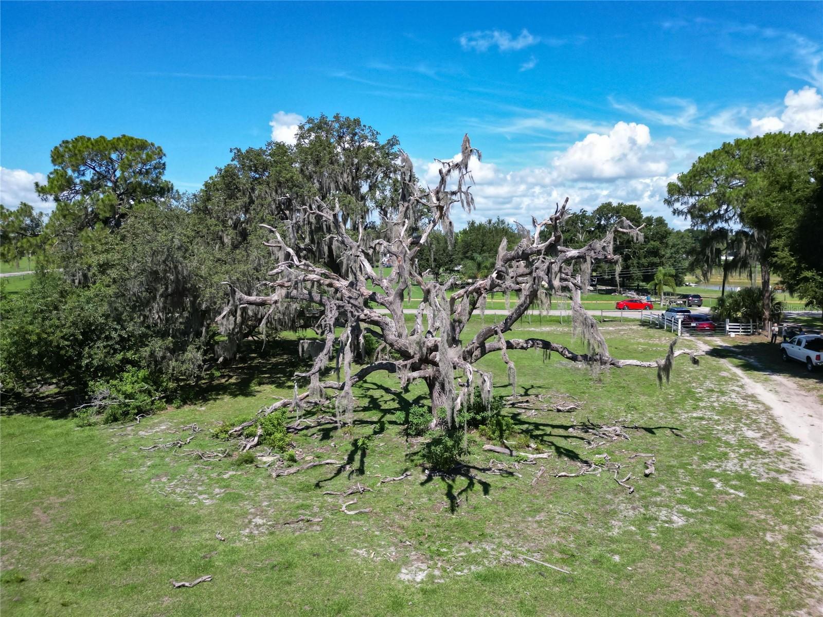 8315 TOM COSTINE RD, LAKELAND, FL, 33809