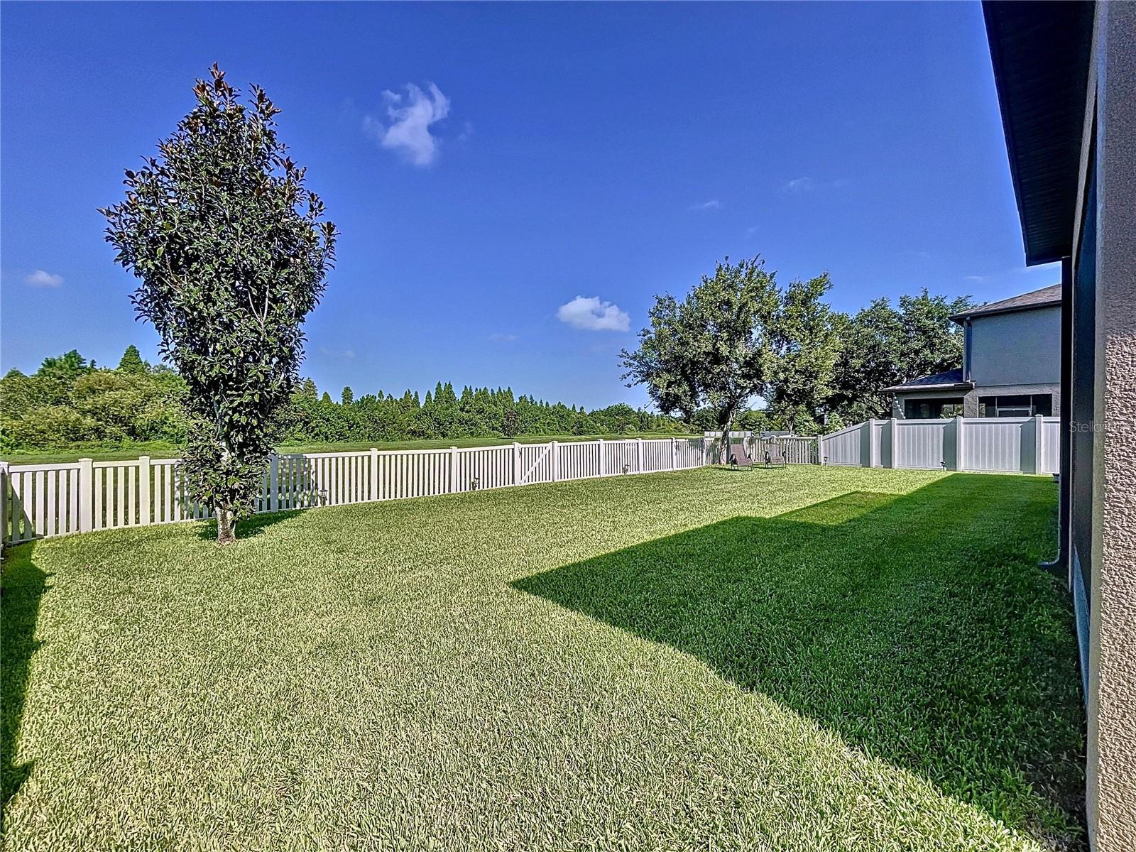 11511 PALMETTO PINE ST, RIVERVIEW, FL, 33569