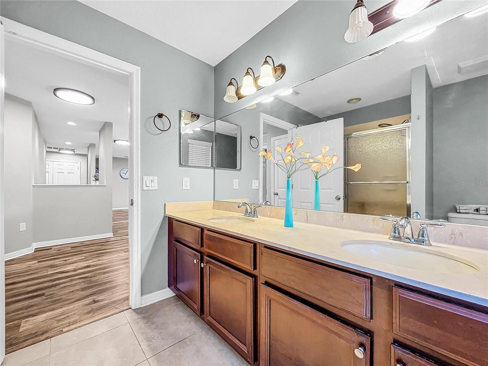 11511 PALMETTO PINE ST, RIVERVIEW, FL, 33569