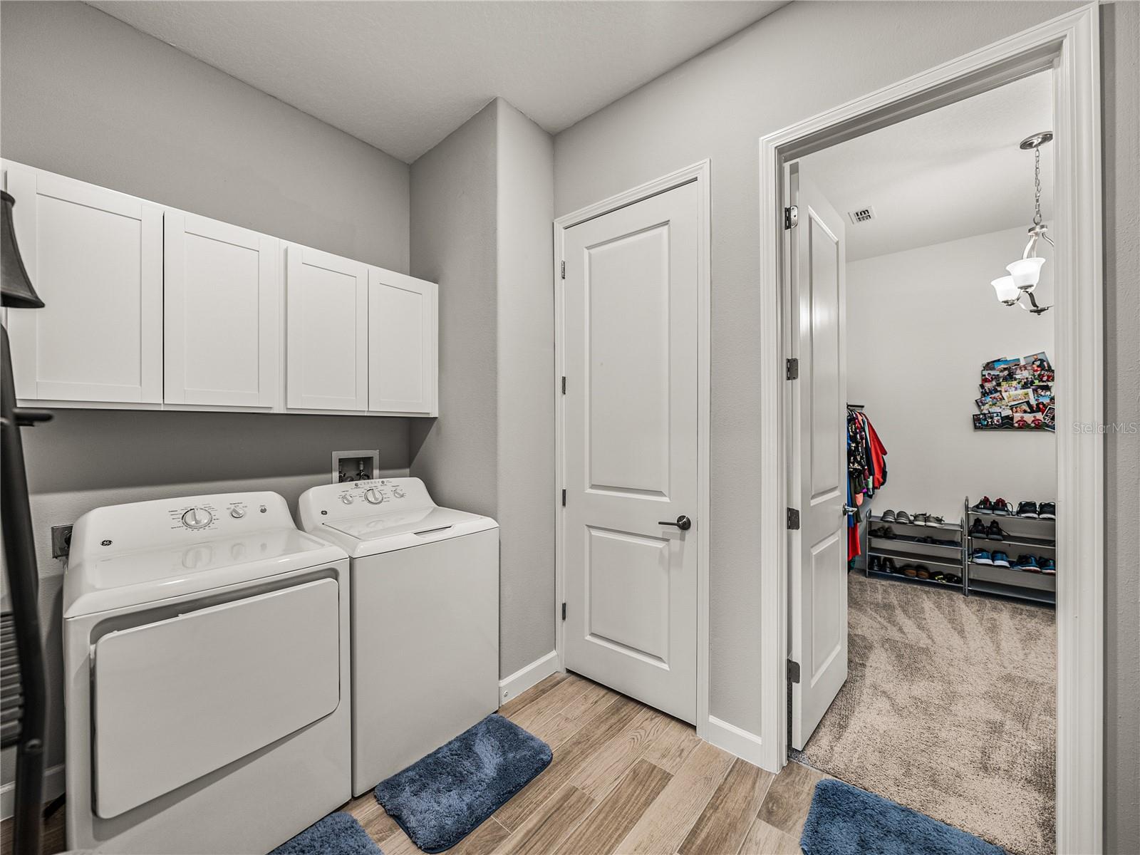 5303 TULIP DROP DR, WIMAUMA, FL, 33598