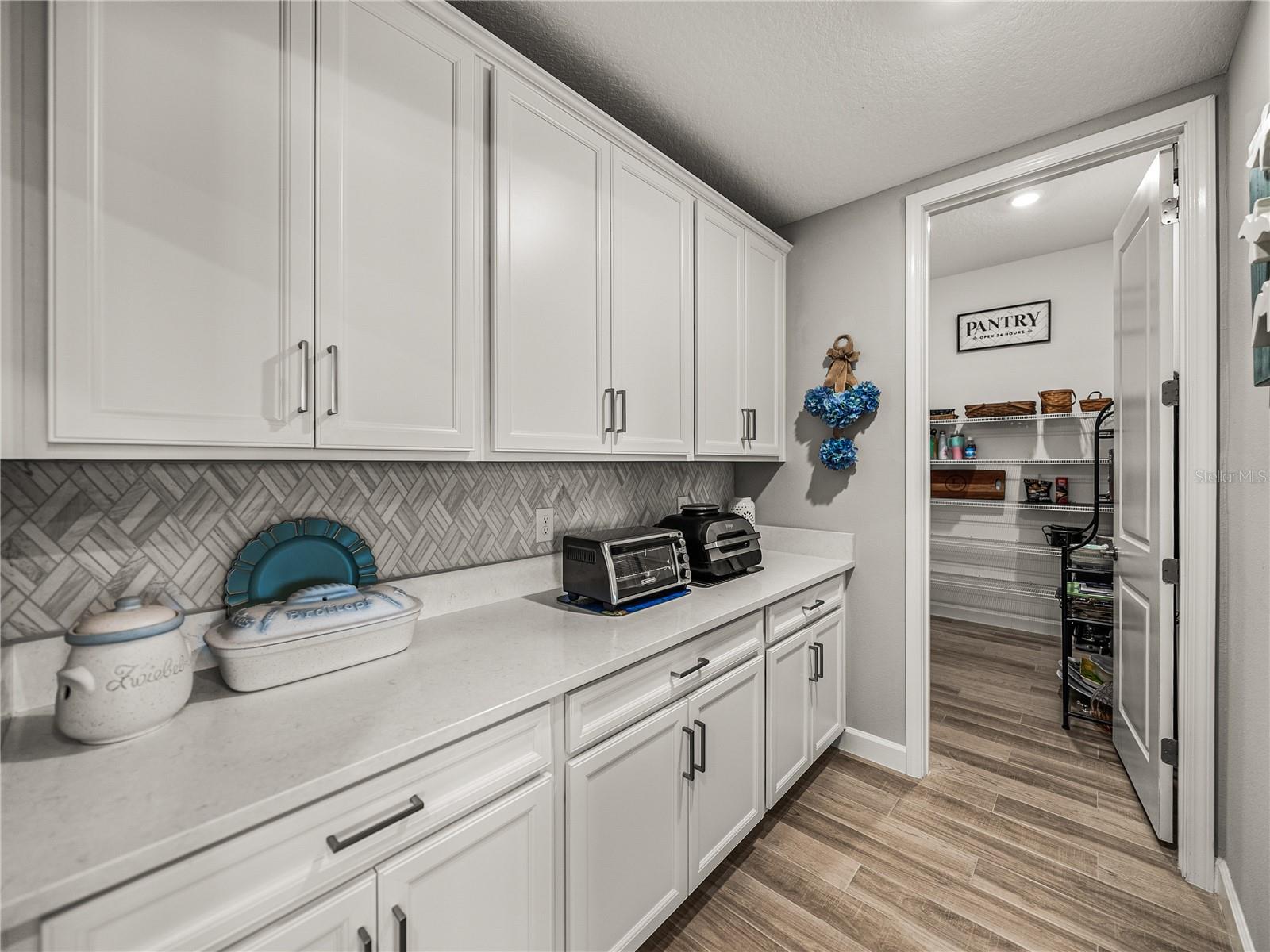 5303 TULIP DROP DR, WIMAUMA, FL, 33598