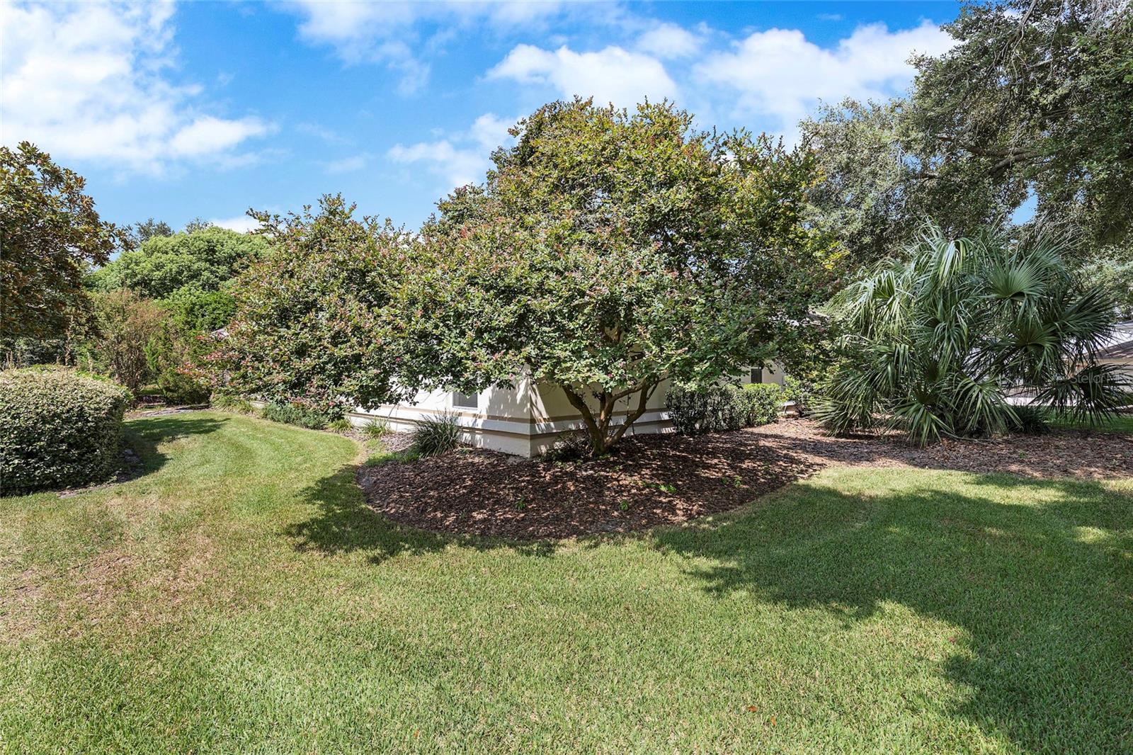 11525 SE 175TH ST, SUMMERFIELD, FL, 34491