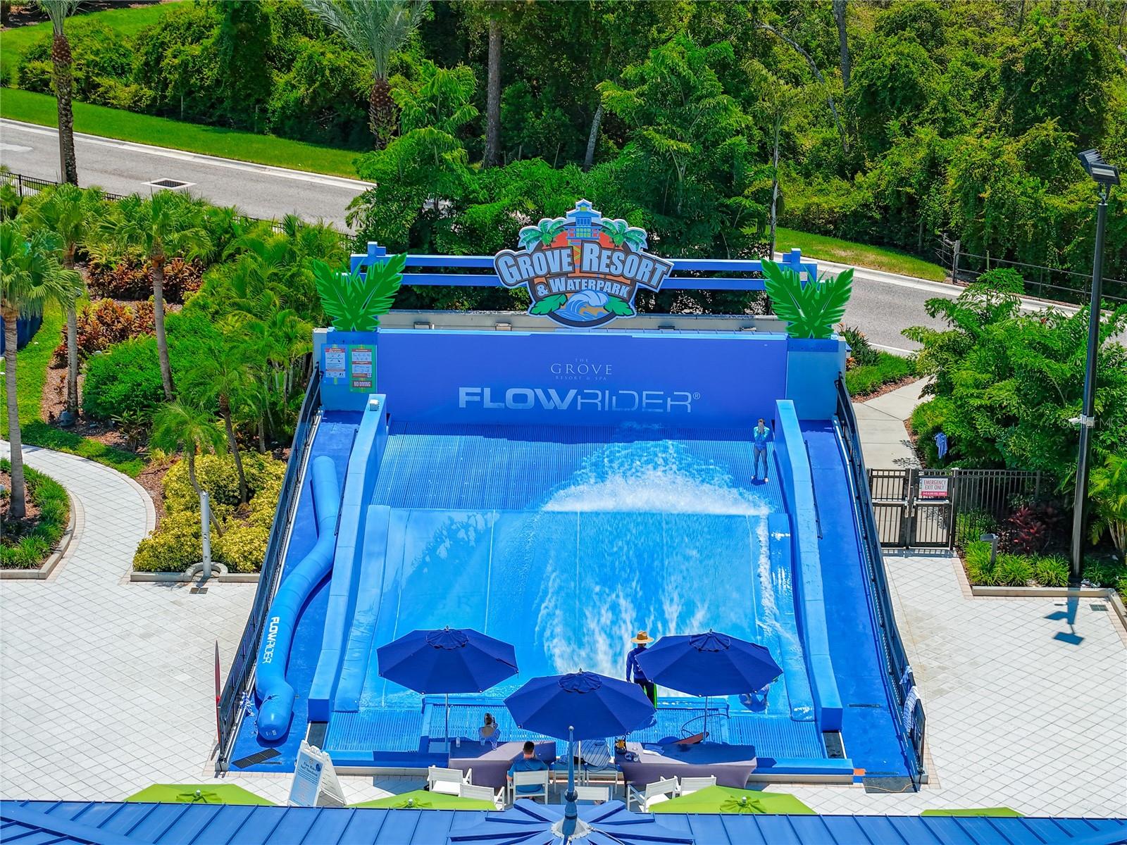 14501 GROVE RESORT AVE #3132, WINTER GARDEN, FL, 34787