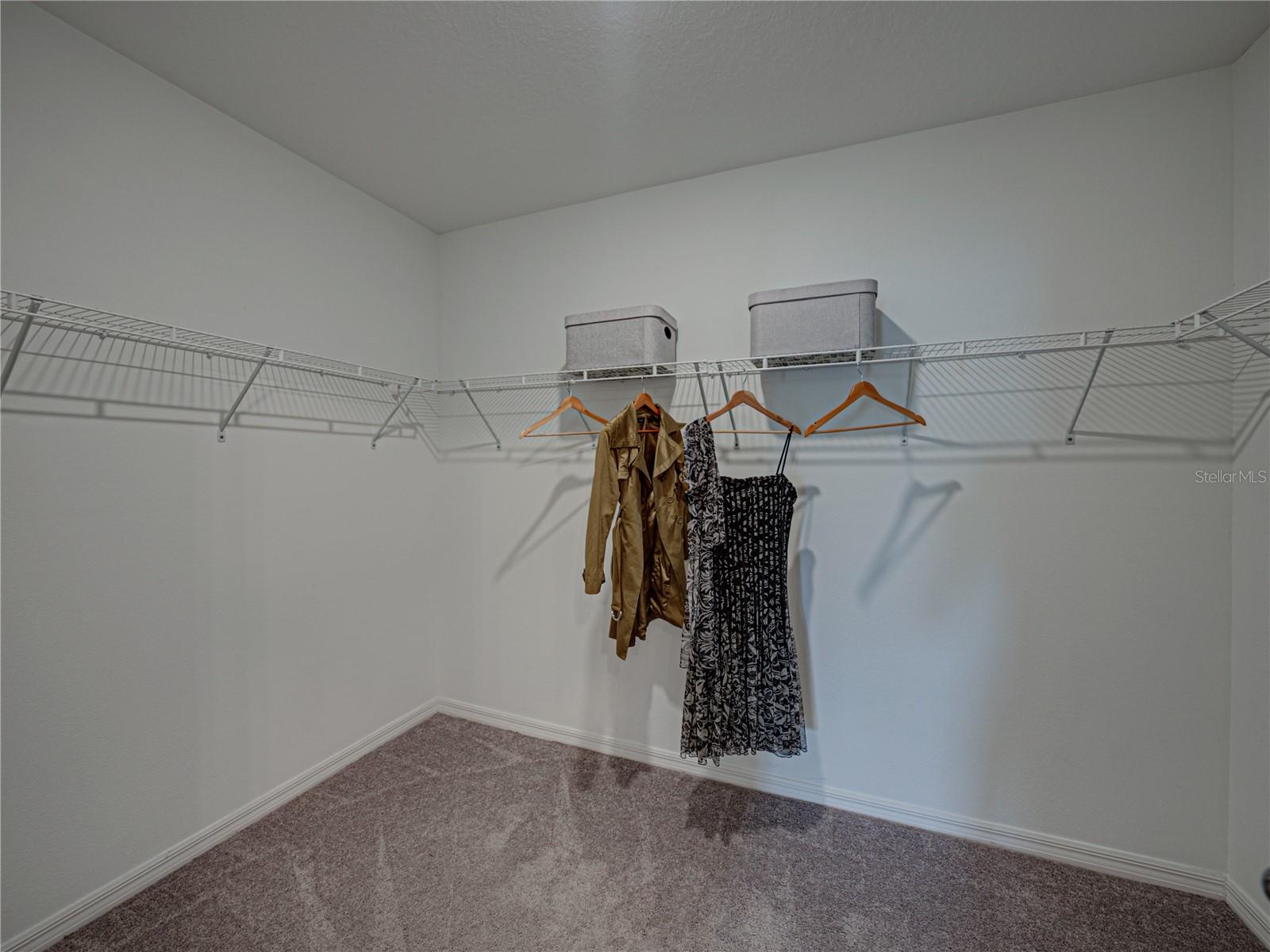 31417 SUN KETTLE LOOP, WESLEY CHAPEL, FL, 33545