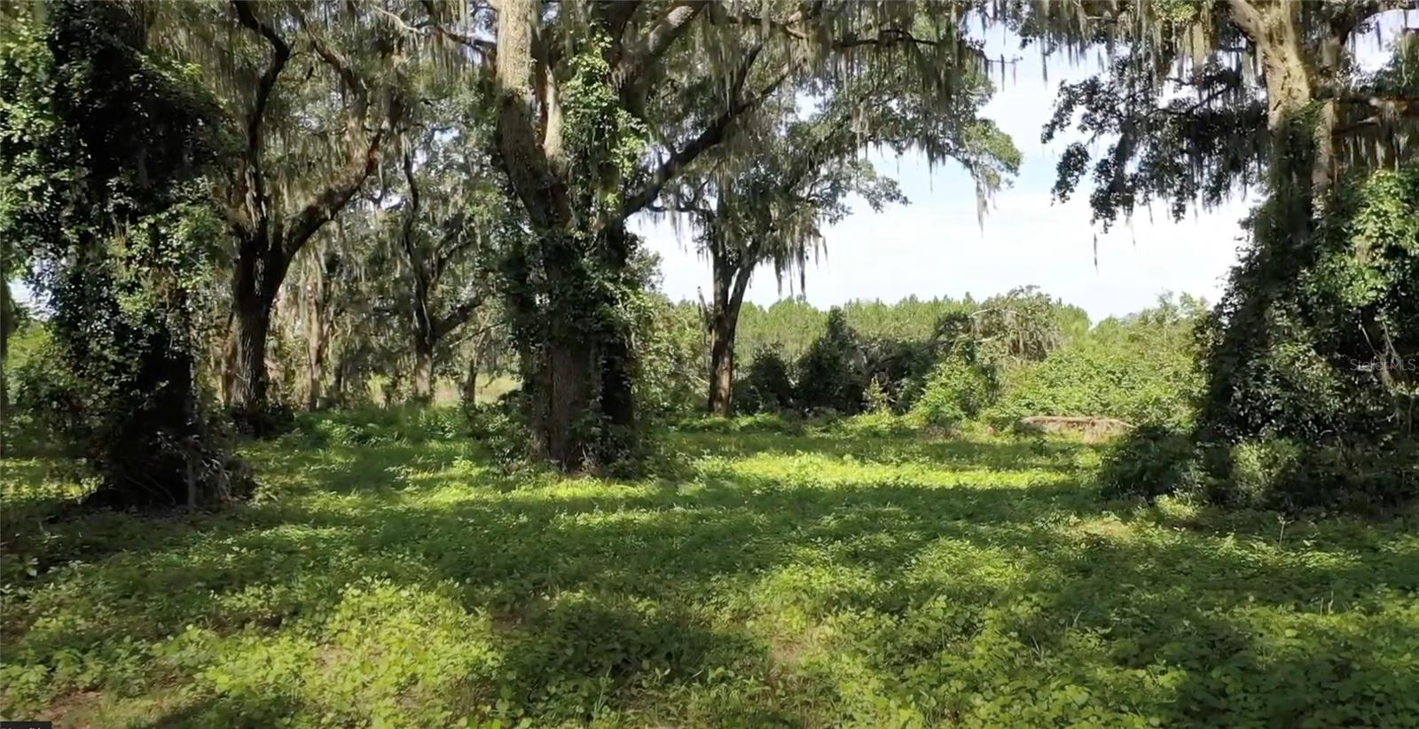 450 LONG AND WINDING RD, GROVELAND, FL, 34737