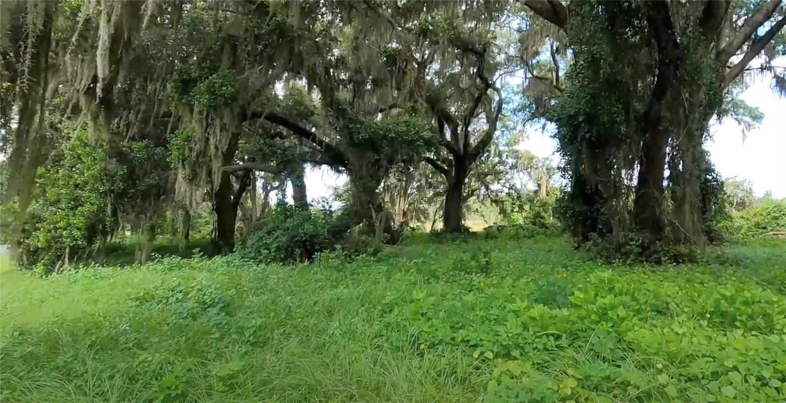 450 LONG AND WINDING RD, GROVELAND, FL, 34737