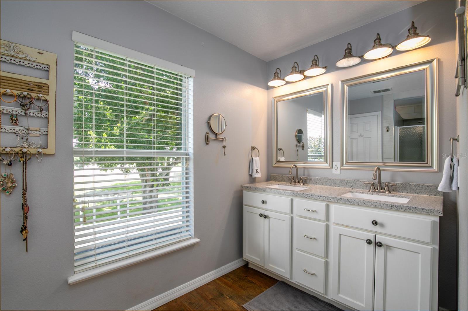 7425 LAKE MARNI CT, MOUNT DORA, FL, 32757
