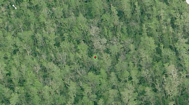 DILL RD, ORLANDO, FL, 32820