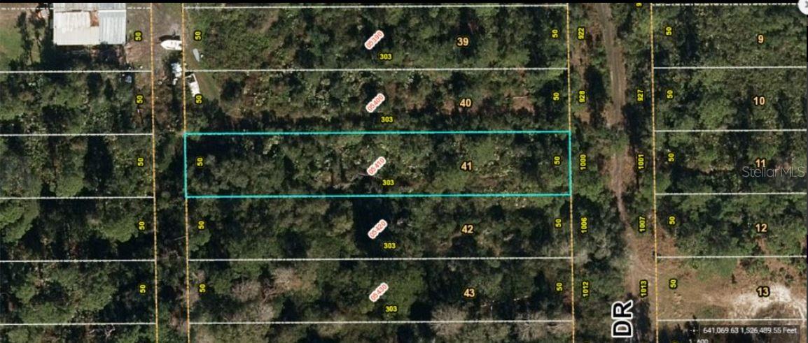 1000 GREENBRIAR DR, CHRISTMAS, FL, 32709