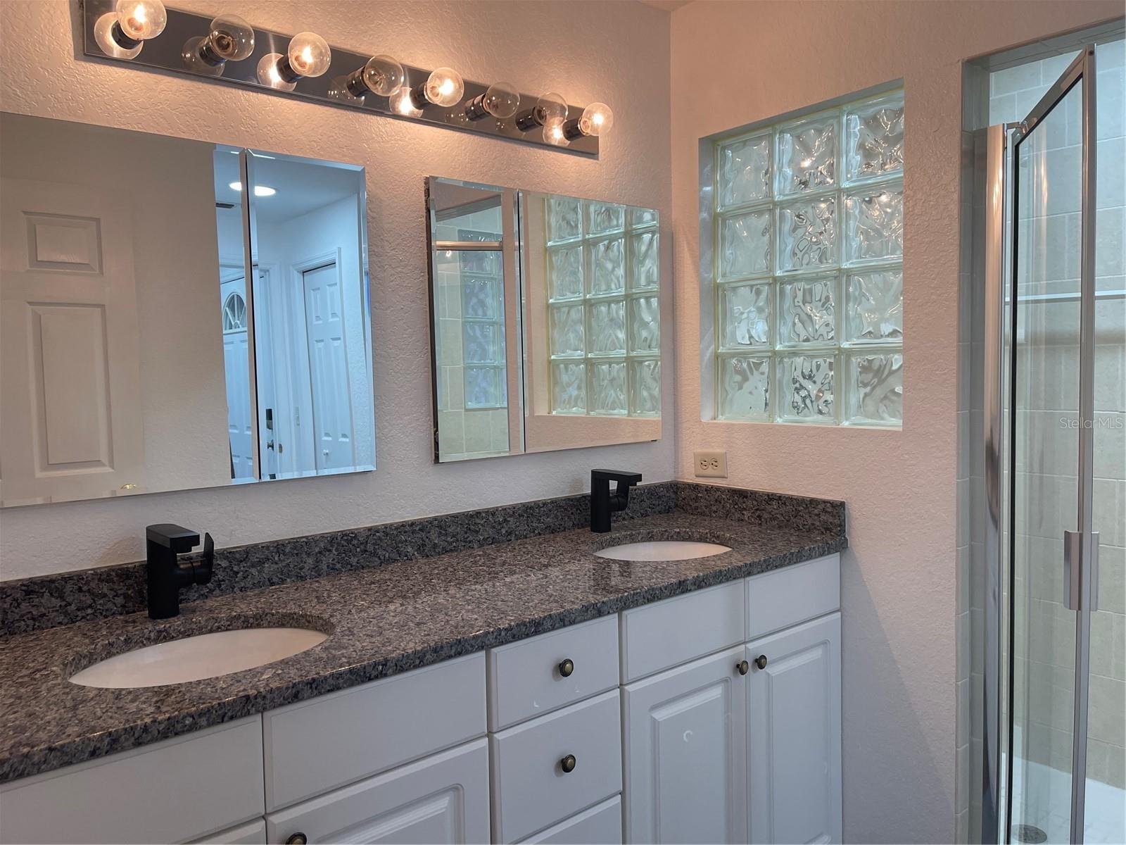 21146 FOUNTAIN VIEW LN #4303, LUTZ, FL, 33558