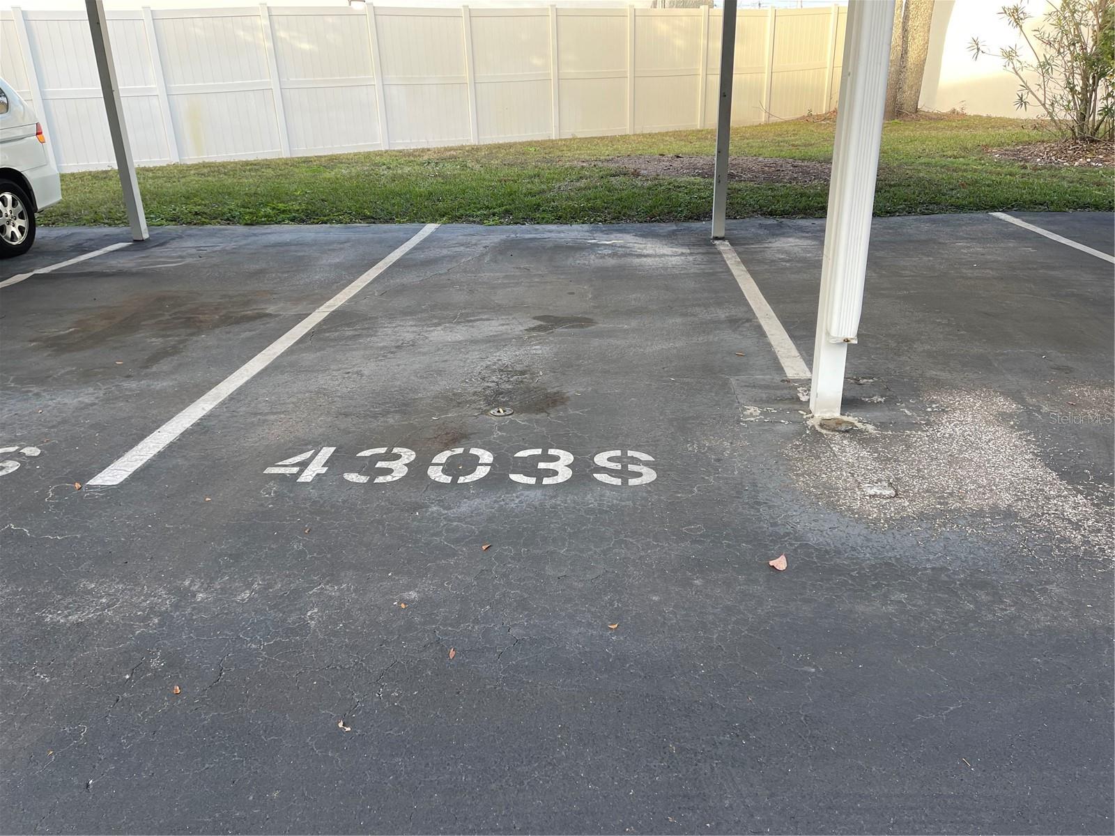 21146 FOUNTAIN VIEW LN #4303, LUTZ, FL, 33558