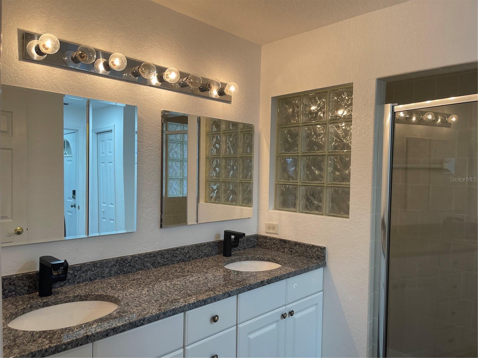 21146 FOUNTAIN VIEW LN #4303, LUTZ, FL, 33558