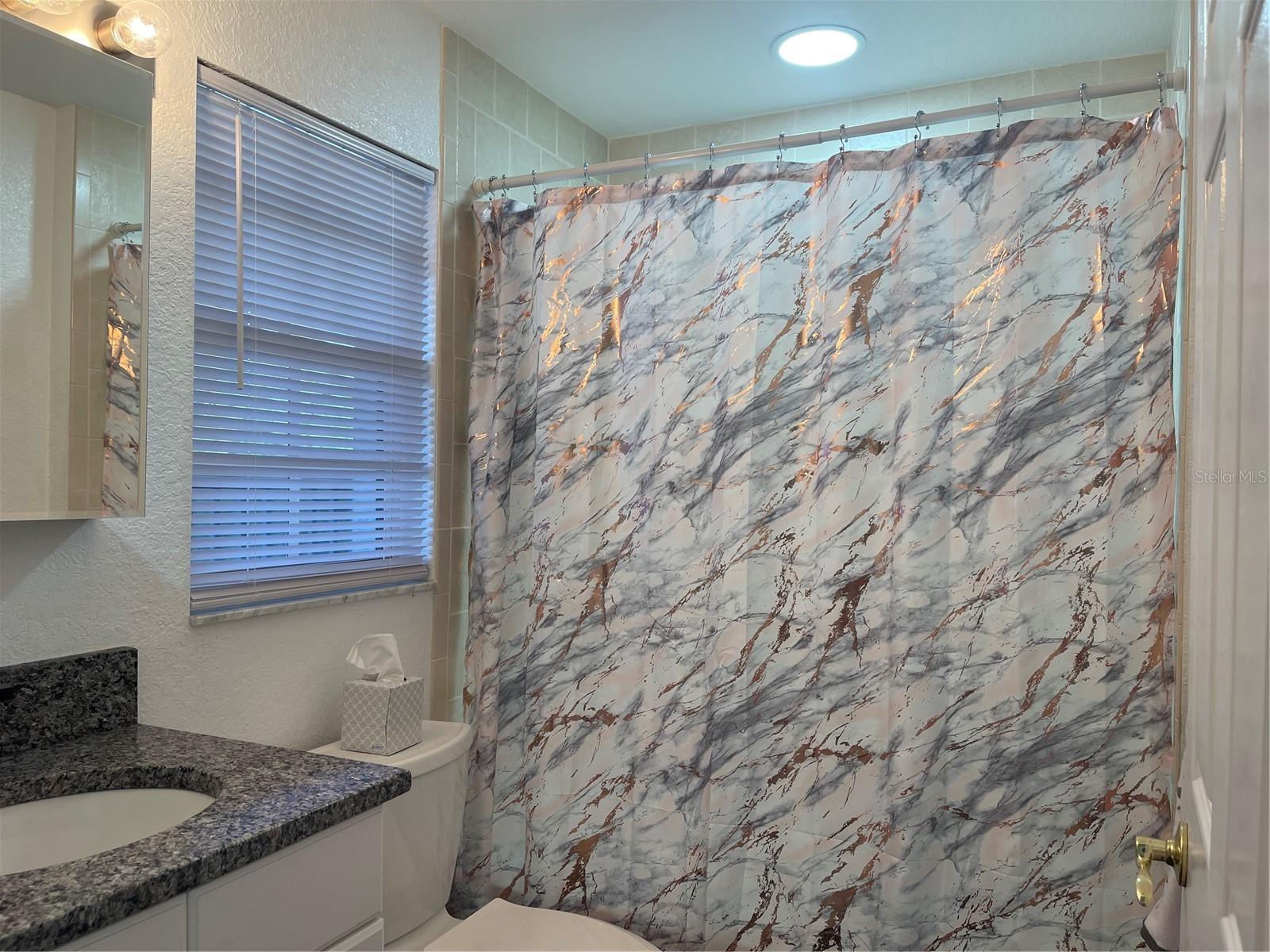 21146 FOUNTAIN VIEW LN #4303, LUTZ, FL, 33558