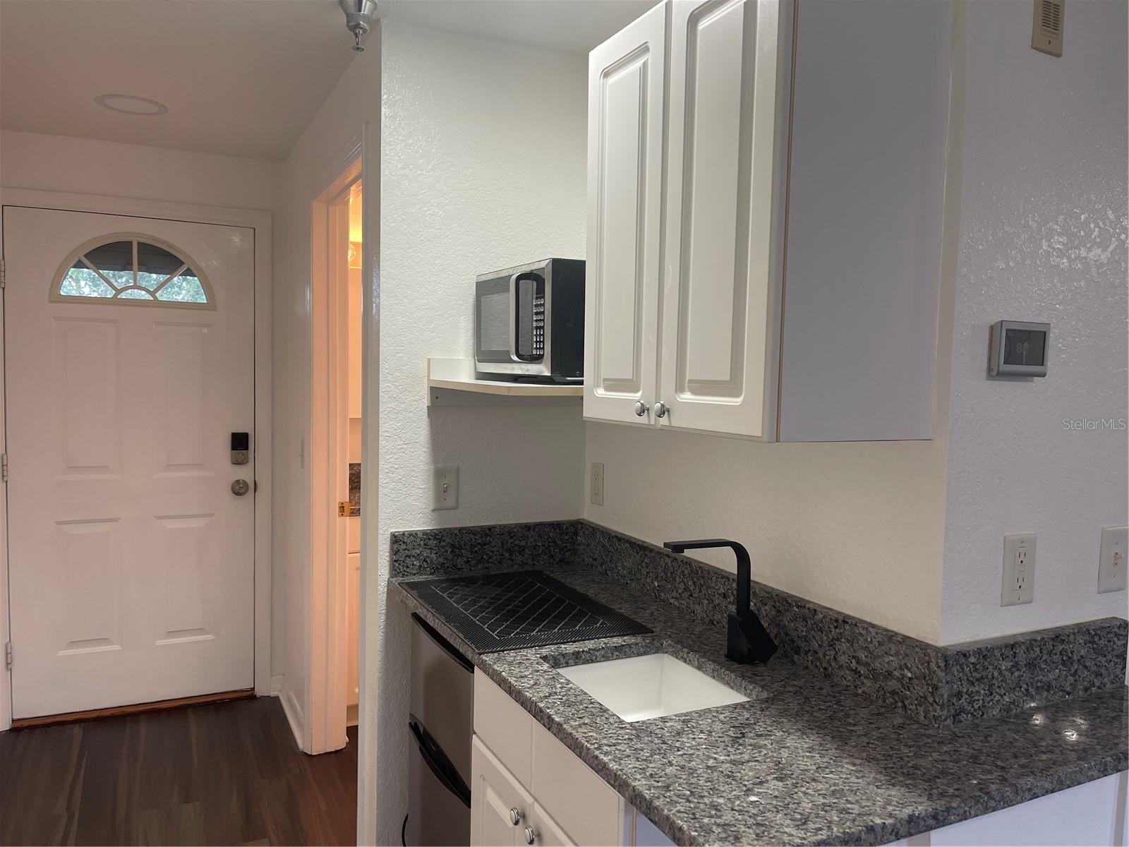 21146 FOUNTAIN VIEW LN #4303, LUTZ, FL, 33558
