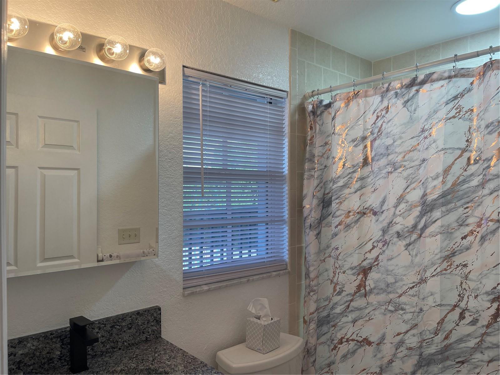 21146 FOUNTAIN VIEW LN #4303, LUTZ, FL, 33558
