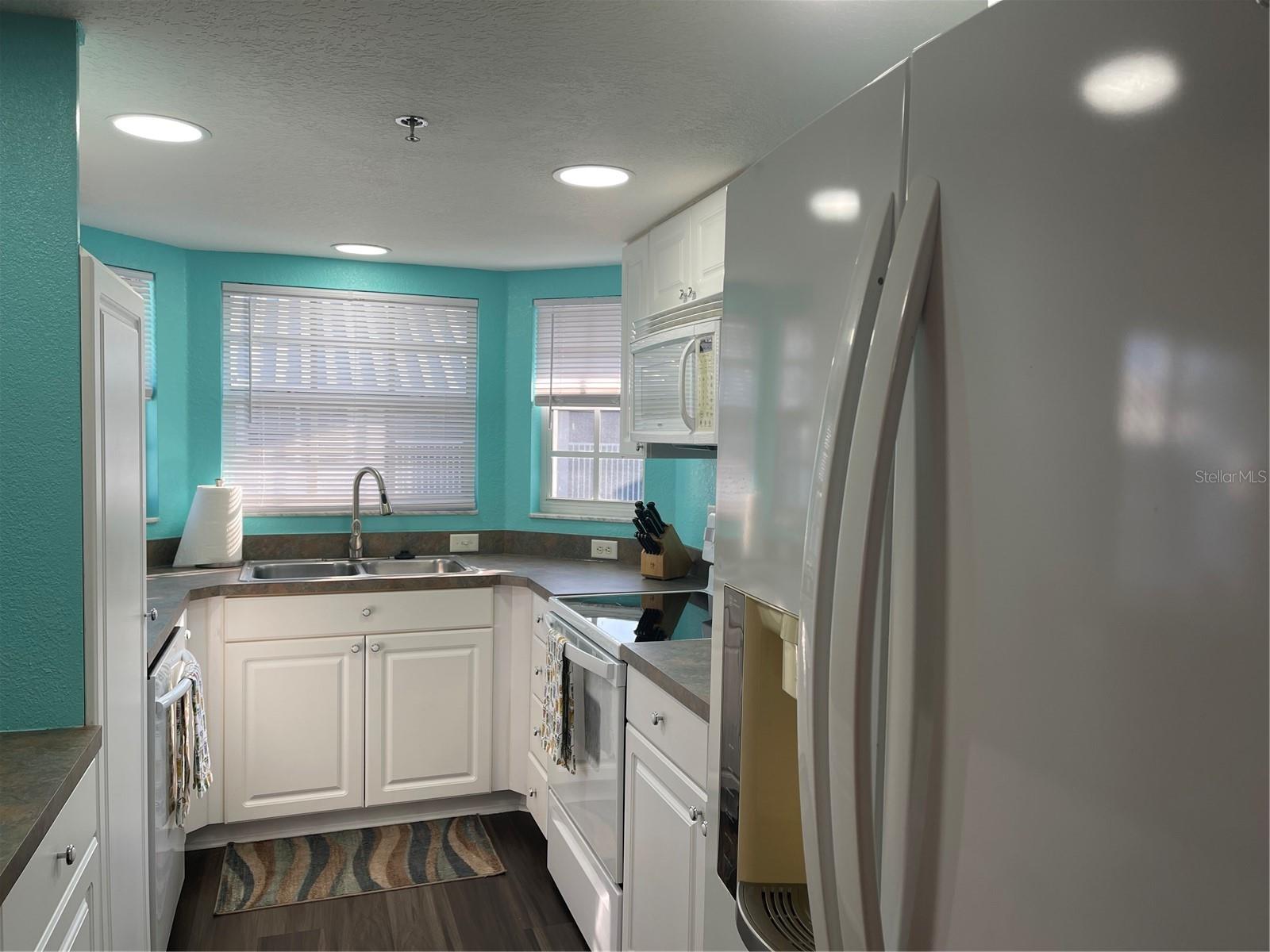 21146 FOUNTAIN VIEW LN #4303, LUTZ, FL, 33558
