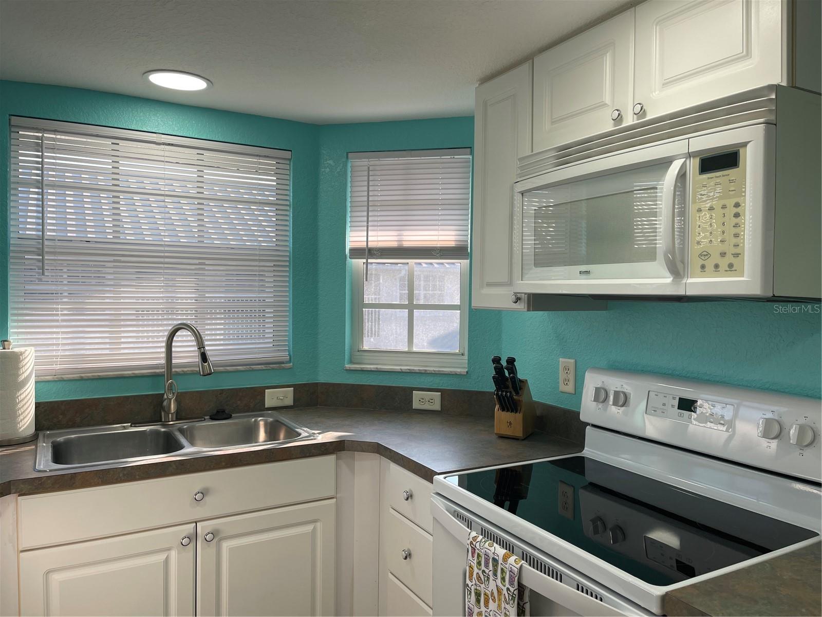 21146 FOUNTAIN VIEW LN #4303, LUTZ, FL, 33558