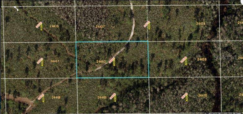 DILL RD, ORLANDO, FL, 32820