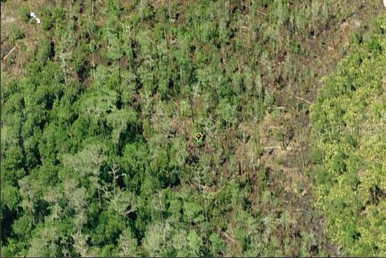 DILL RD, ORLANDO, FL, 32820