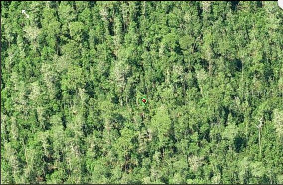 DILL RD, ORLANDO, FL, 32820