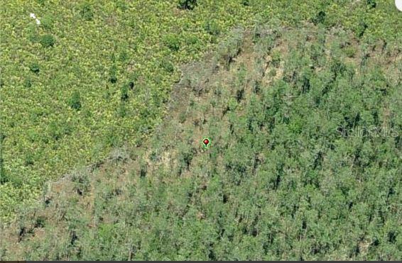 E COLONIAL DR, ORLANDO, FL, 32820