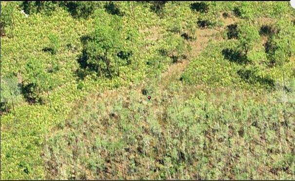 DILL RD, ORLANDO, FL, 32820