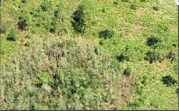 DILL RD, ORLANDO, FL, 32820