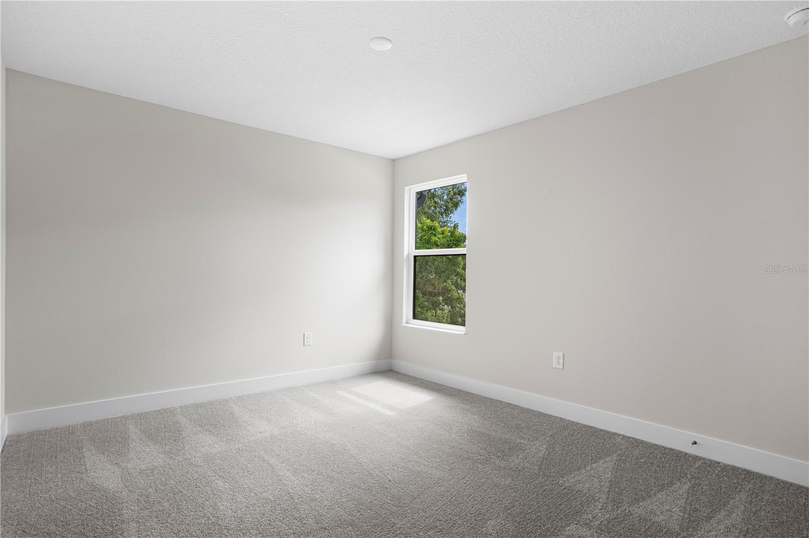 3204 N MORGAN ST, TAMPA, FL, 33603