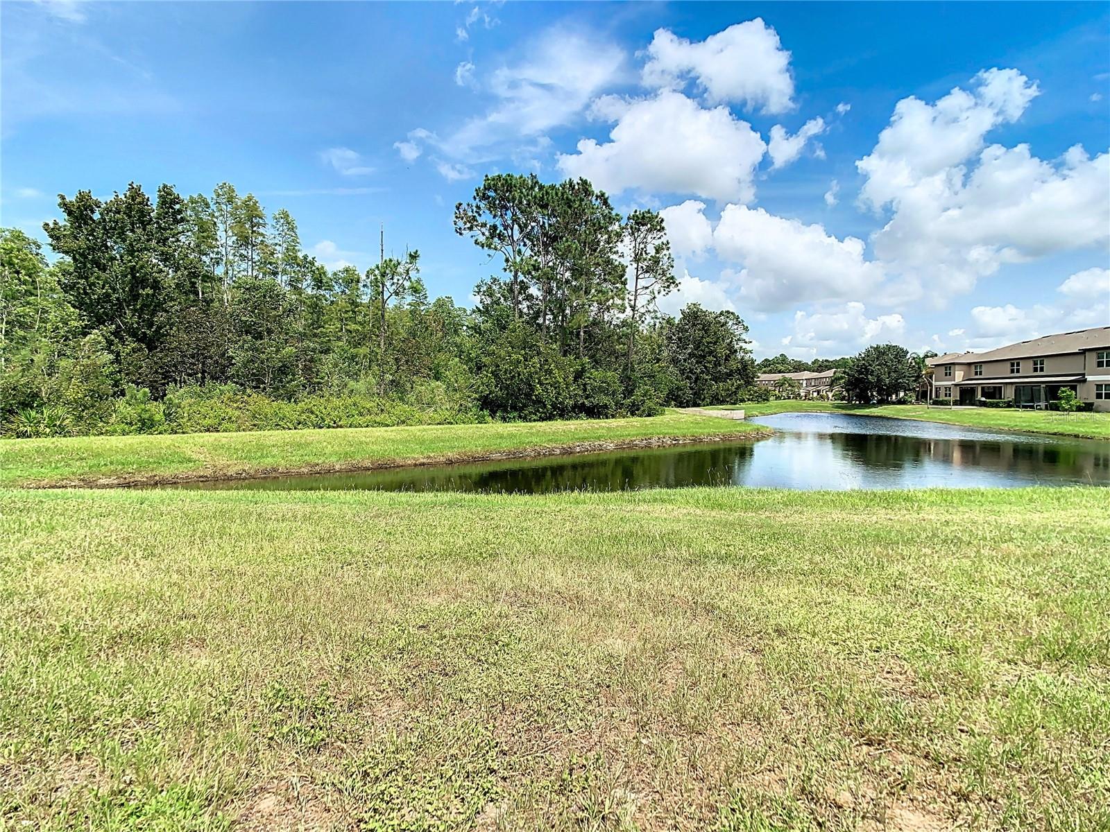 8520 REEDVILLE ST, NEW PORT RICHEY, FL, 34654