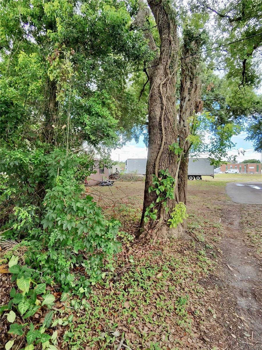 4004 N 39TH ST, TAMPA, FL, 33610