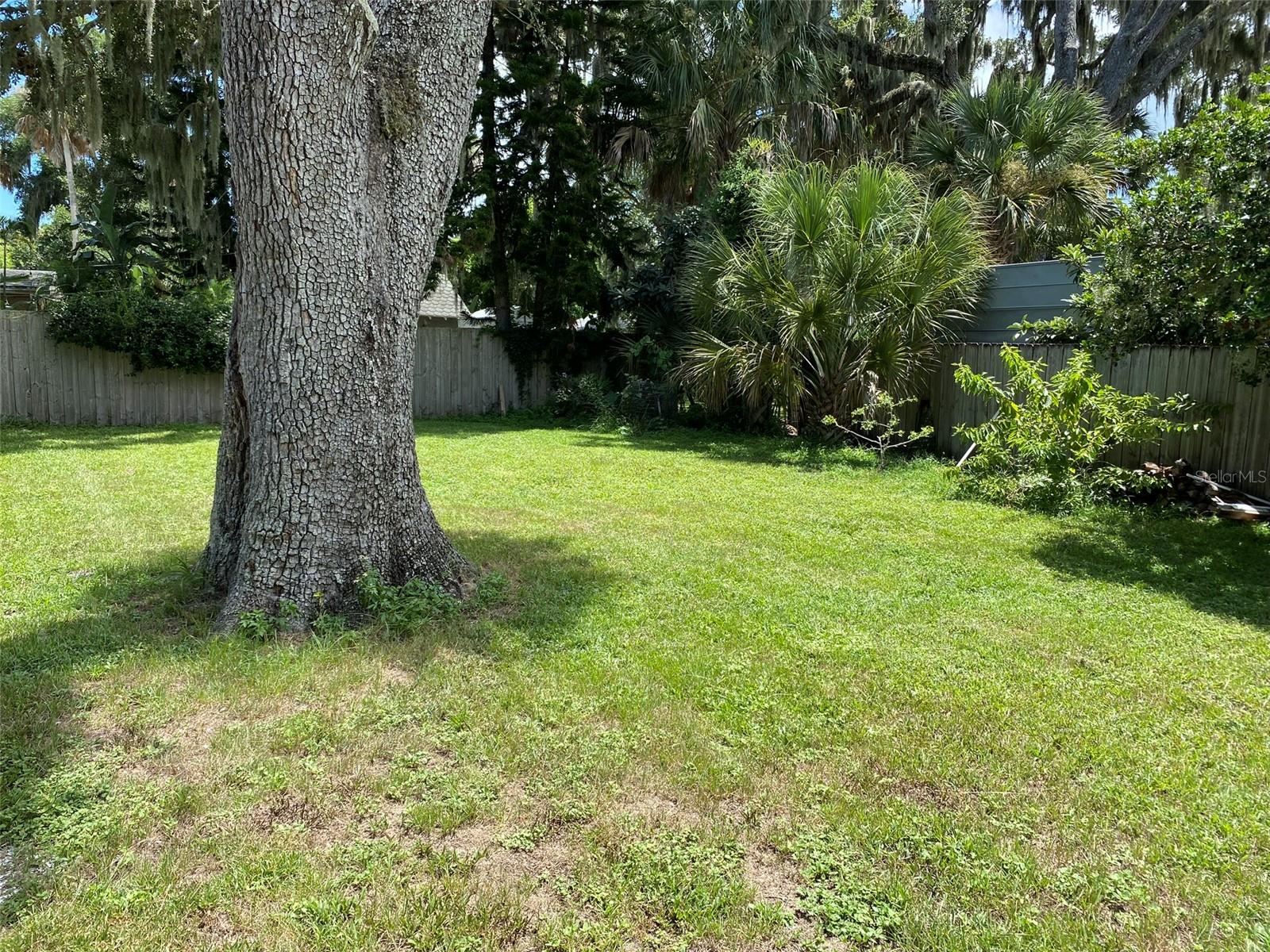 808 FAULKNER ST, NEW SMYRNA BEACH, FL, 32168