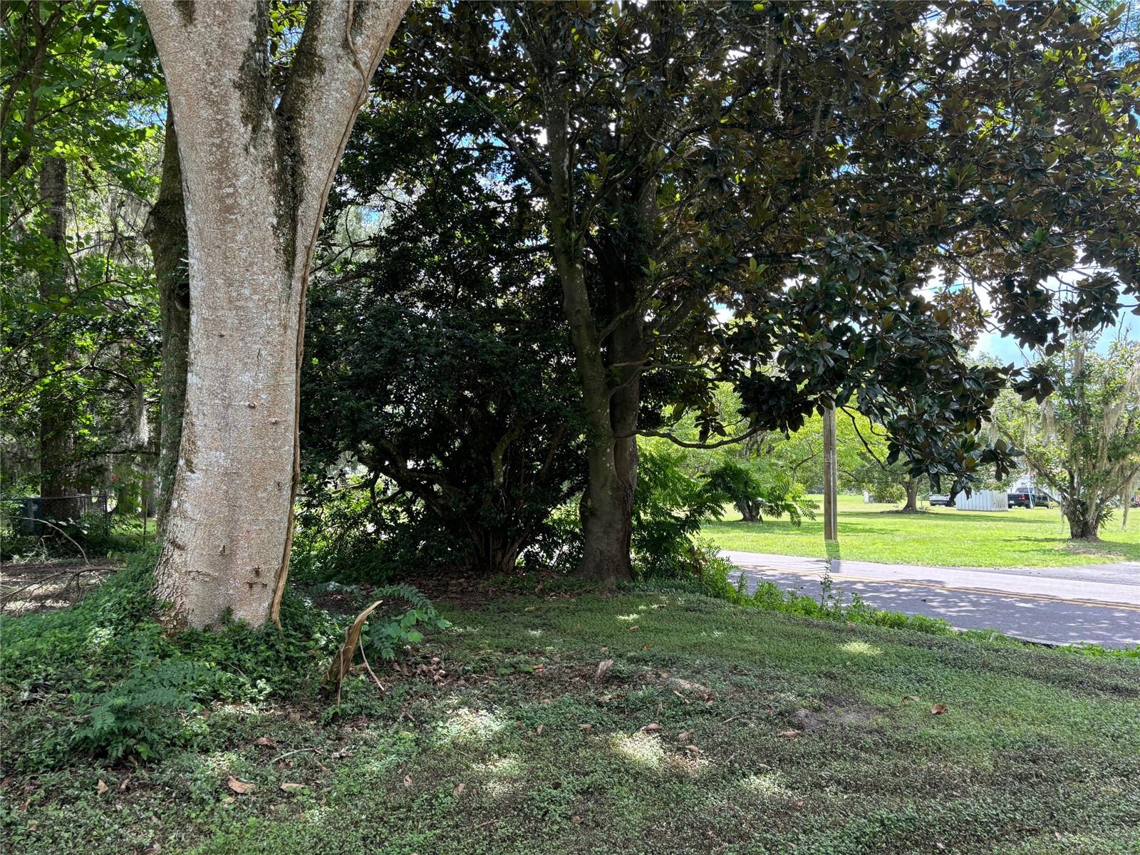 9492 MCINTYRE RD, BROOKSVILLE, FL, 34601