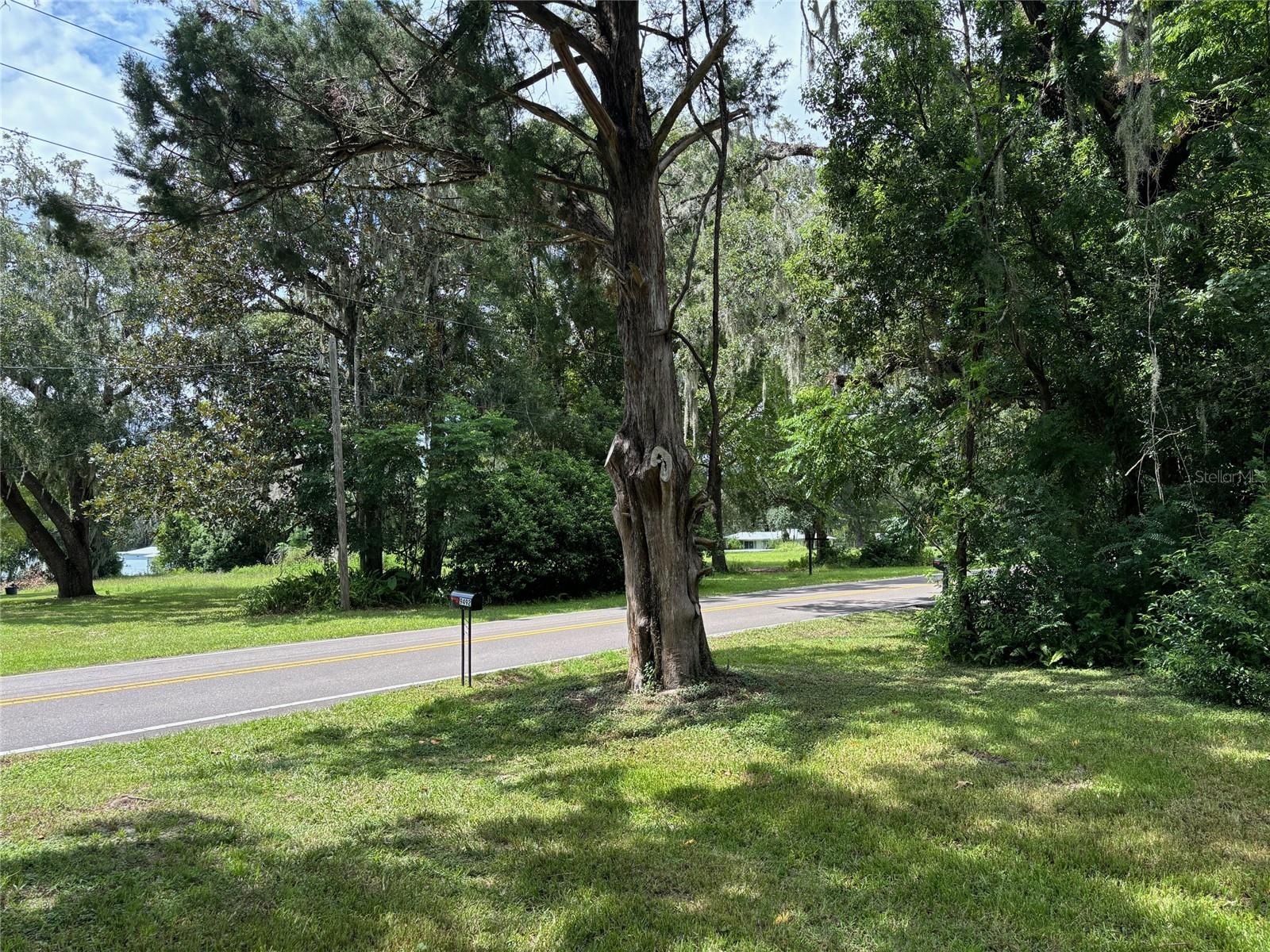 9492 MCINTYRE RD, BROOKSVILLE, FL, 34601