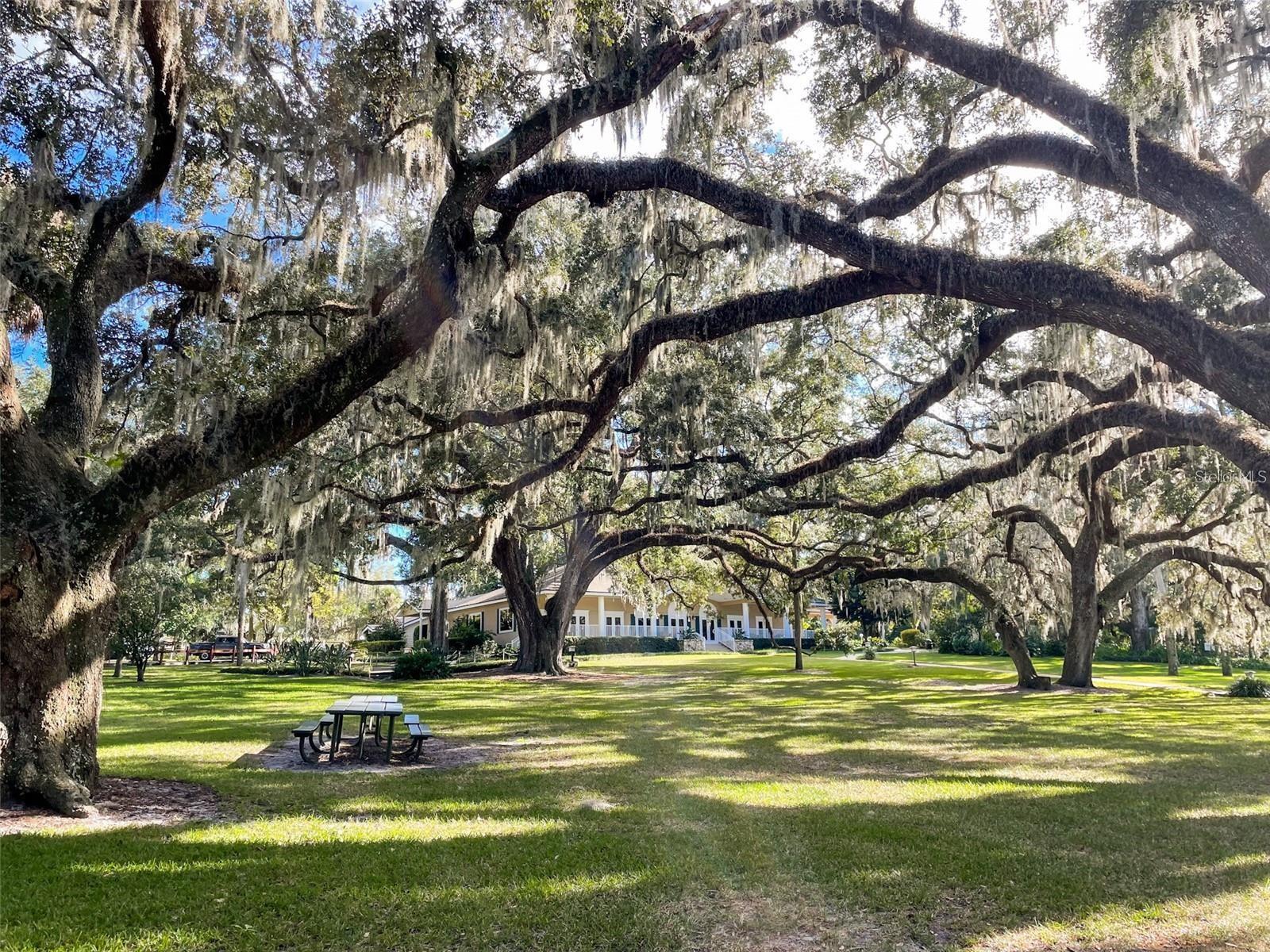 254 CROWN OAKS WAY #101, LONGWOOD, FL, 32779