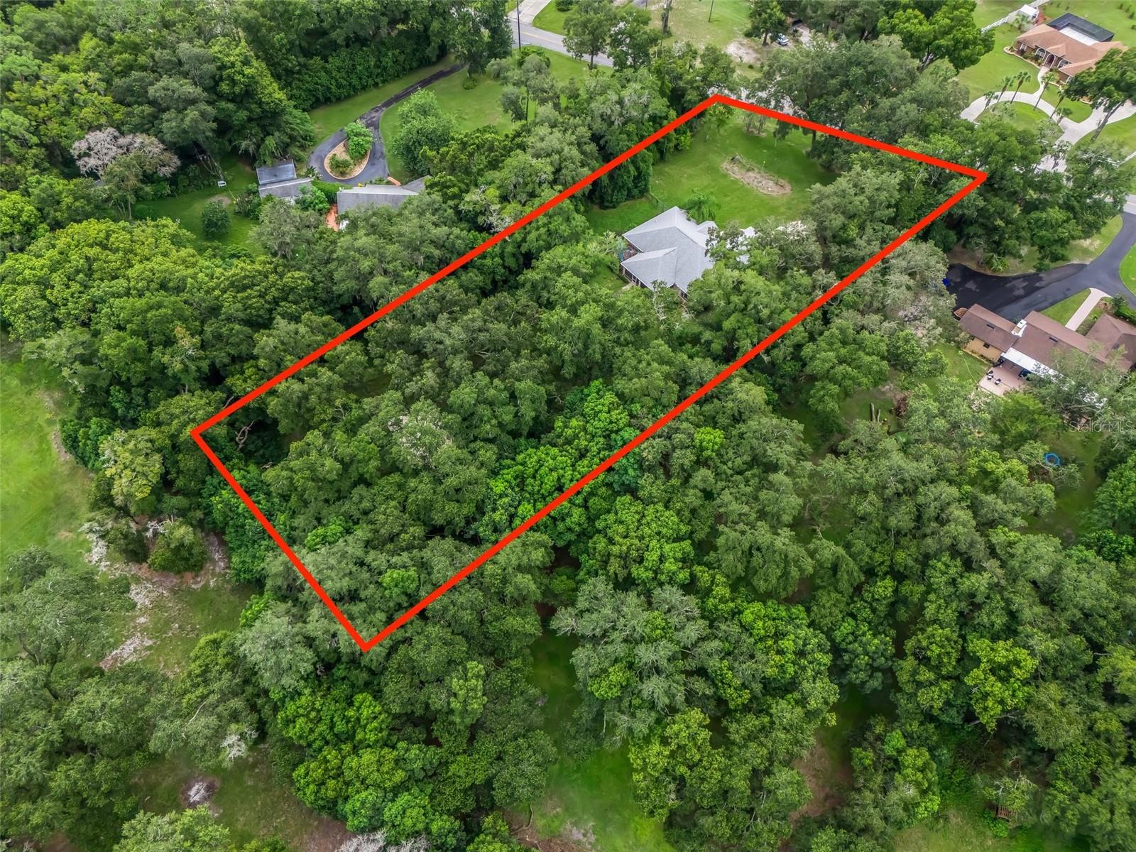 2541 LAKE GRIFFIN RD, LADY LAKE, FL, 32159