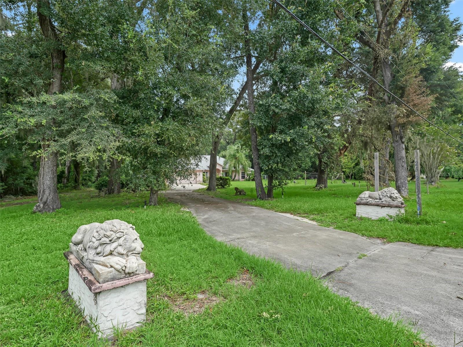 2541 LAKE GRIFFIN RD, LADY LAKE, FL, 32159